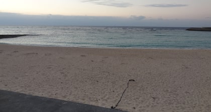 Weekly Harbor View Mansion Ginowan