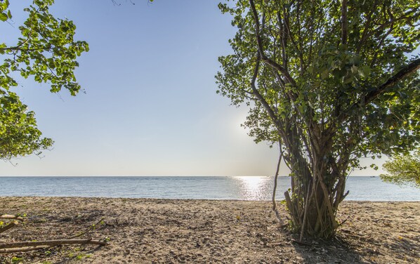施設からの眺望
