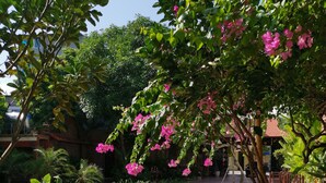 Een zwembad omringd door weelderige begroeiing en roze bloemen.