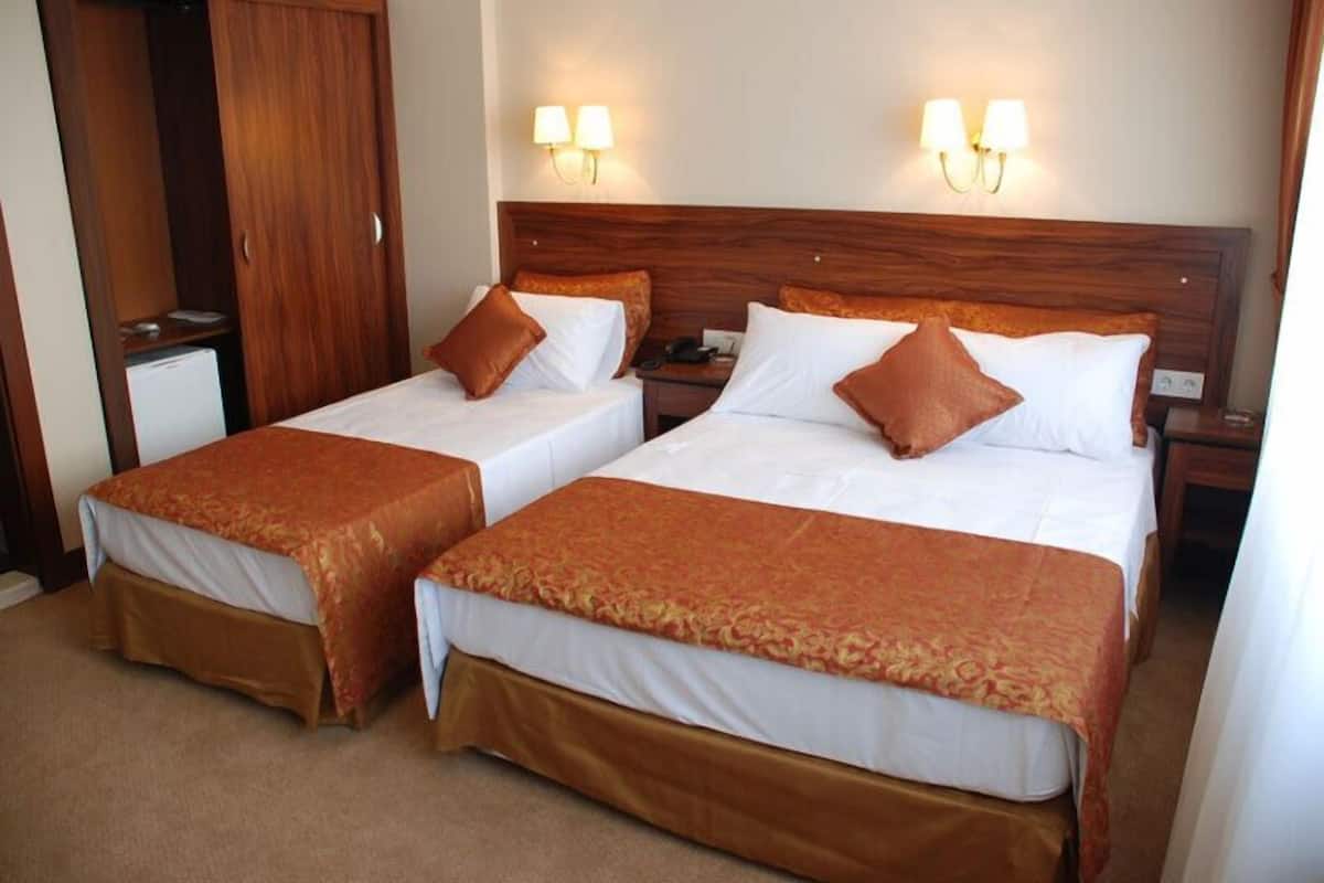 Minibar, escritorio y wifi gratis