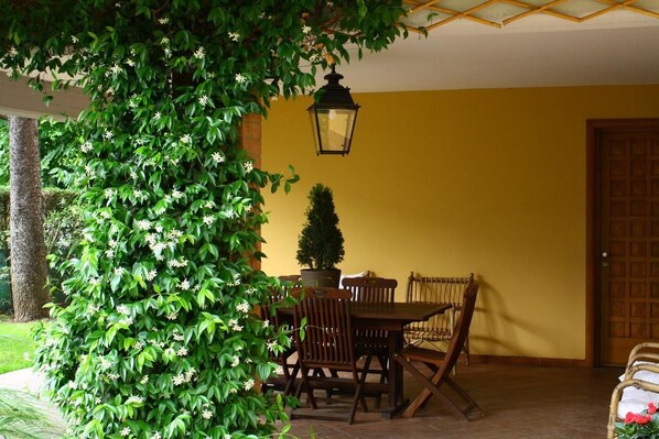 Terrace/patio - B&B Igea 50 (Modena)