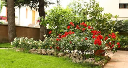 B&B Igea 50