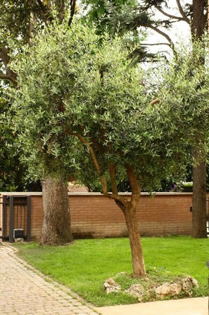 Garden - B&B Igea 50 (Modena)