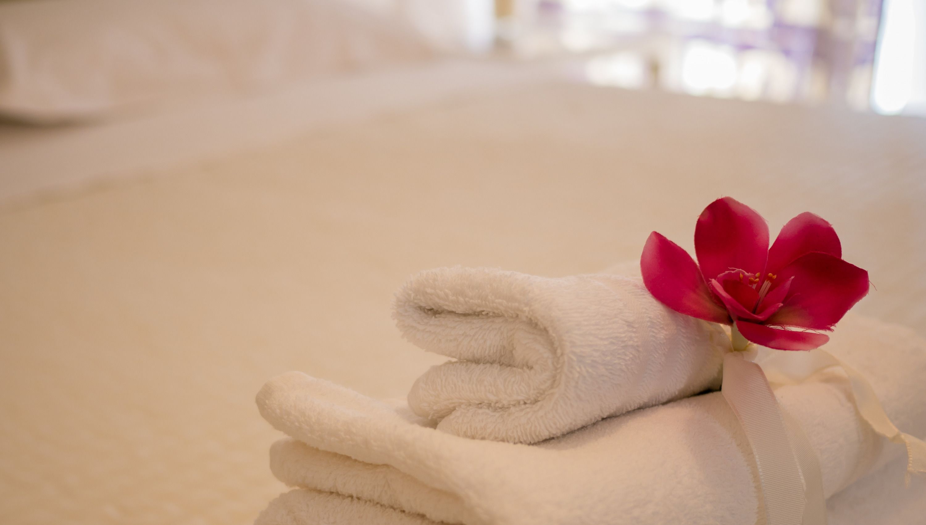 Una toalla blanca doblada con una flor rosa encima, sobre una cama.