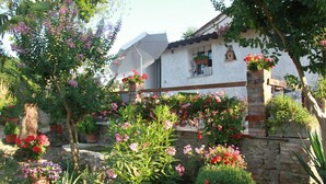 A garden with potted plants and flowers in front of a white building with a stone wall. - LeAmorine White House B&B (Predappio)