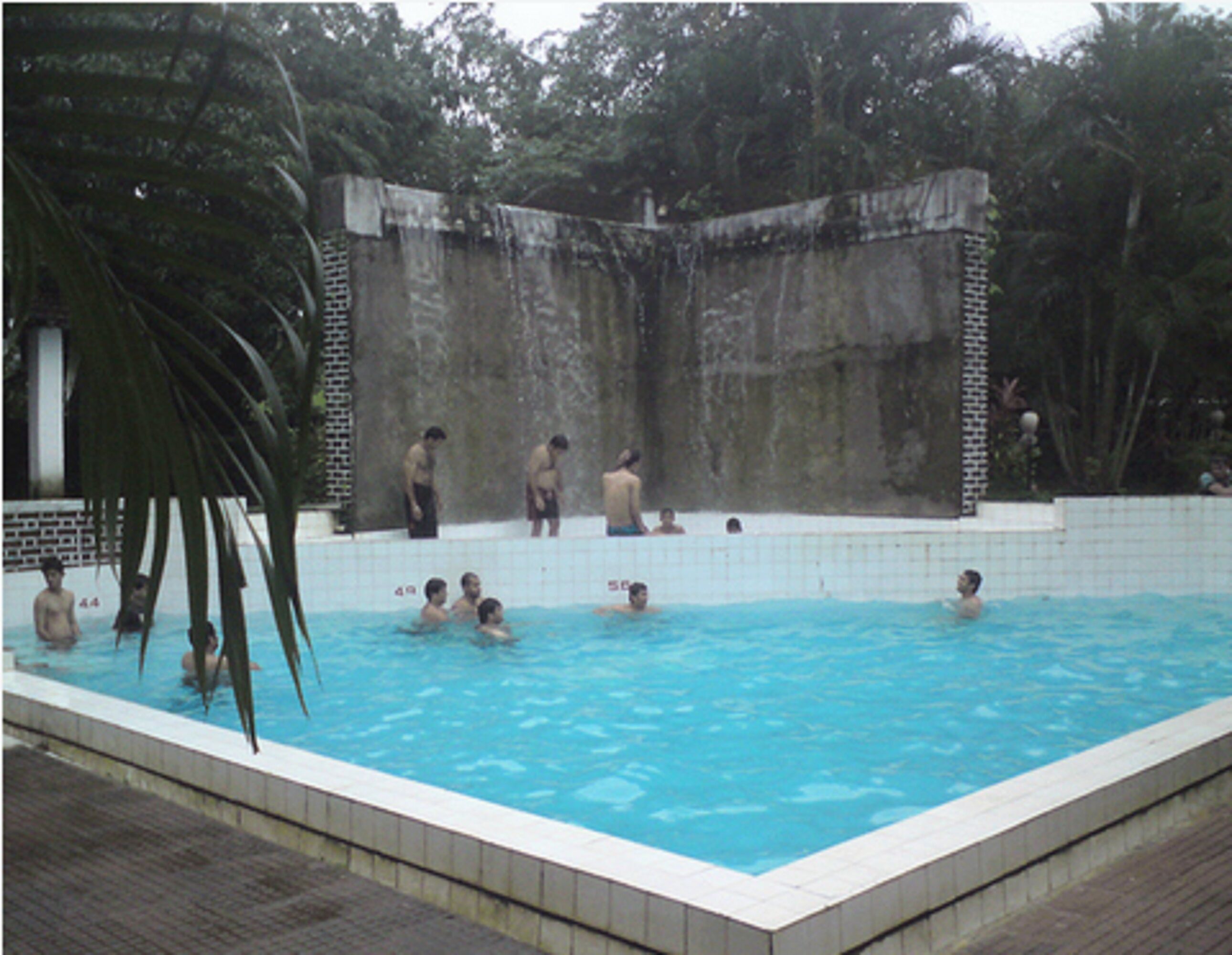 Piscina com pessoas na água, cercada por um muro de tijolos e árvores.