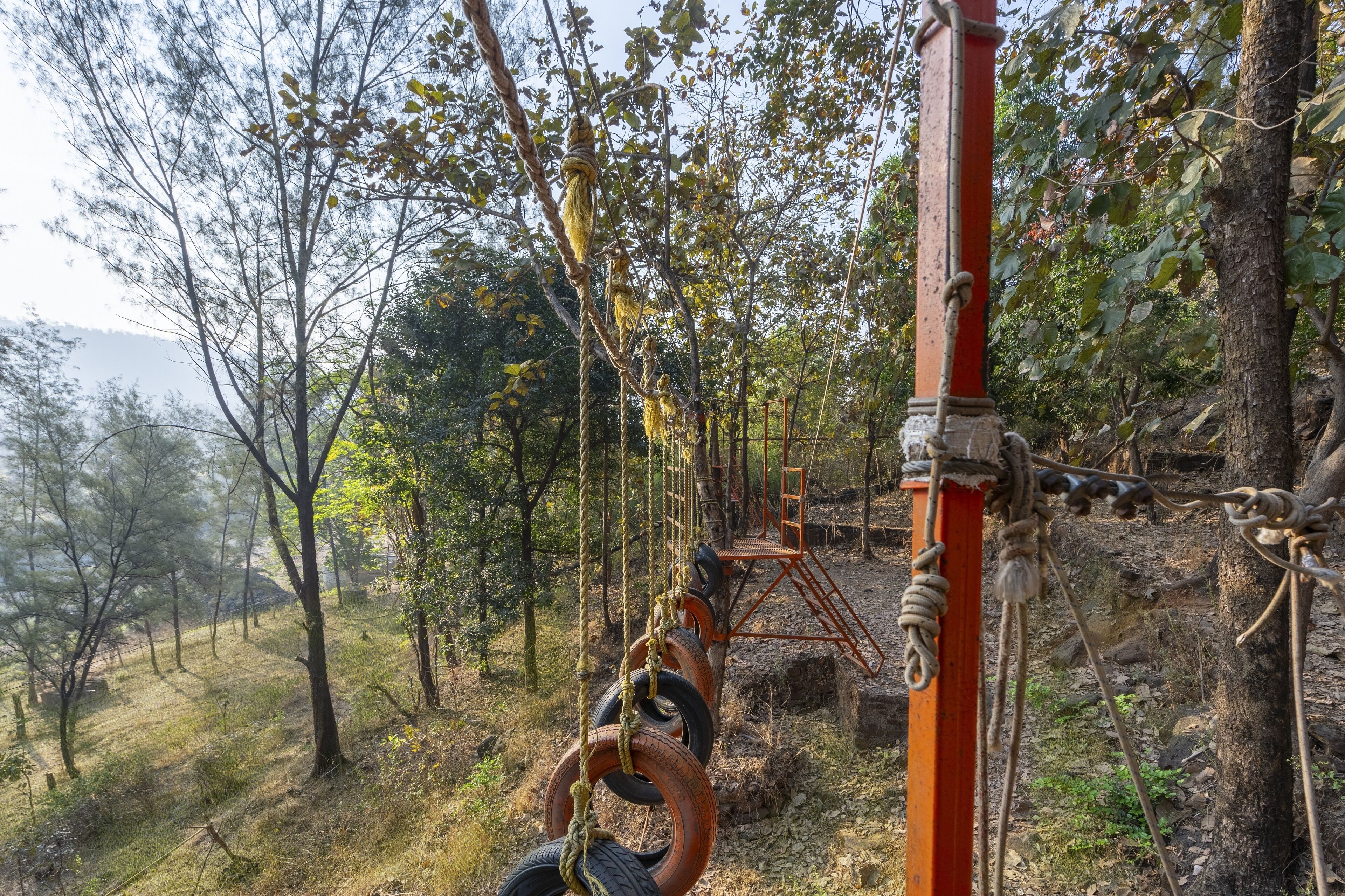 A forested area with a rope swing set suspended from a red pole.