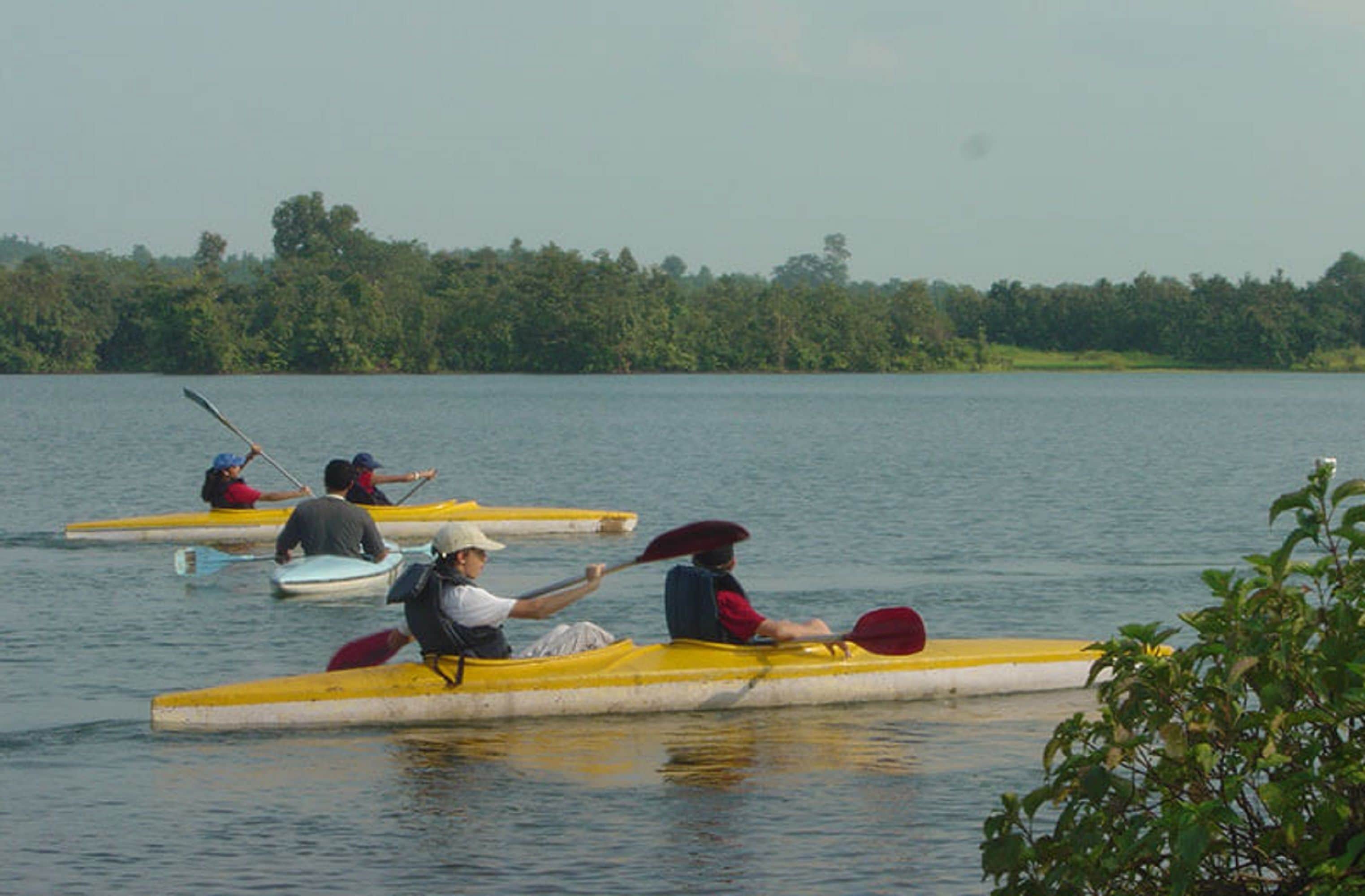 Un grupo de personas remando en canoas en un lago tranquilo con una orilla boscosa.