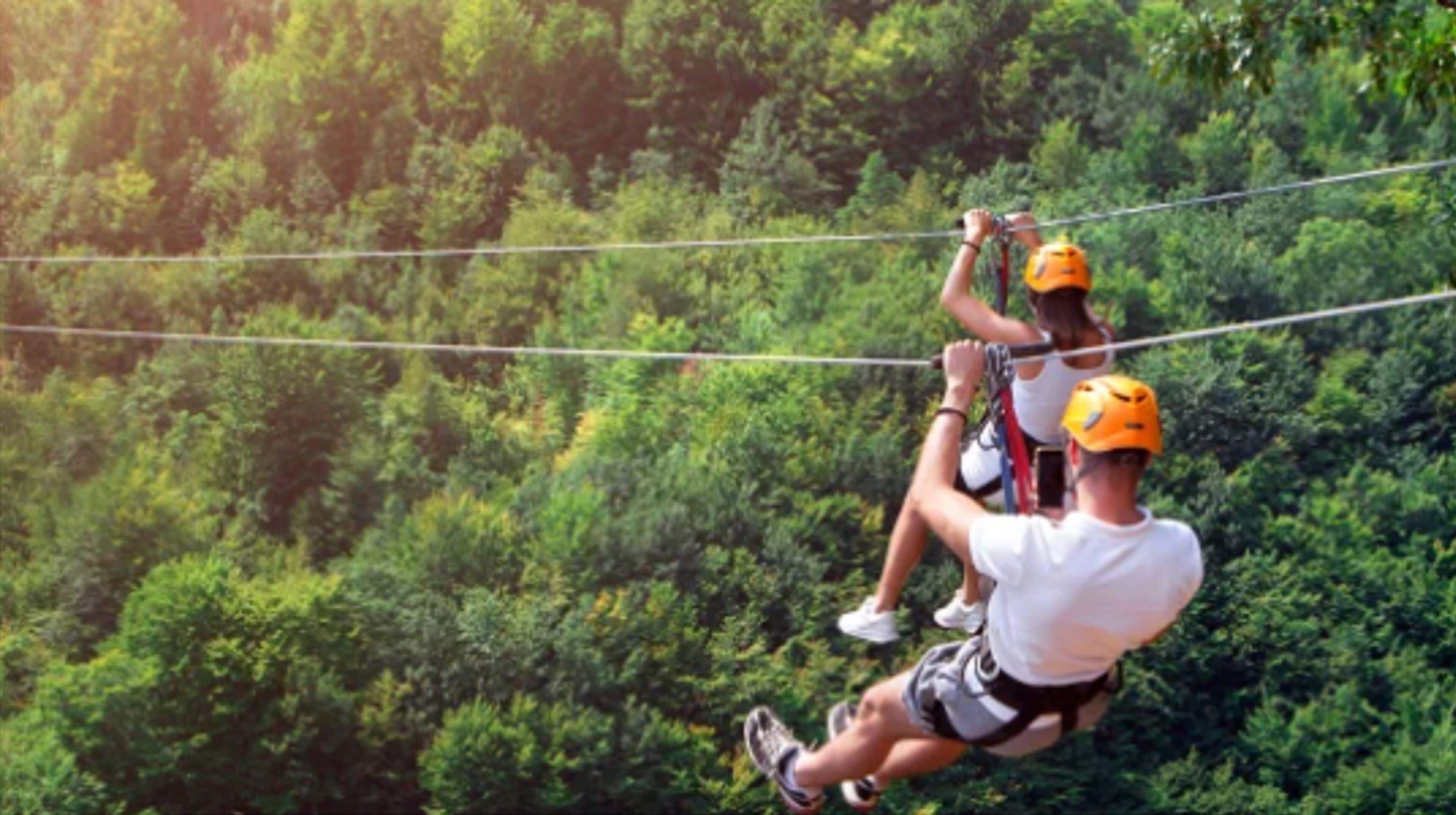 Zwei Personen fahren mit einer Zipline durch ein bewaldetes Gebiet.