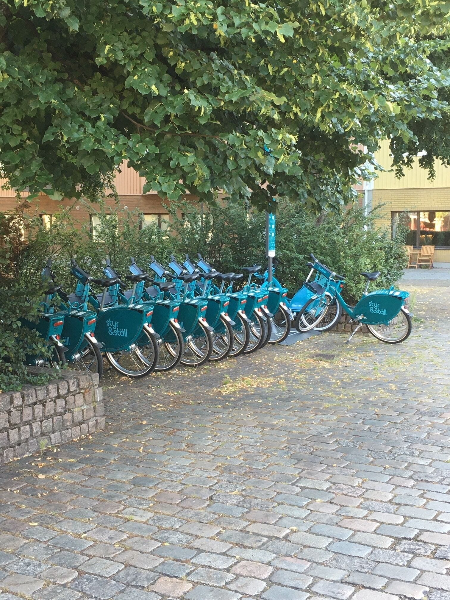 自転車