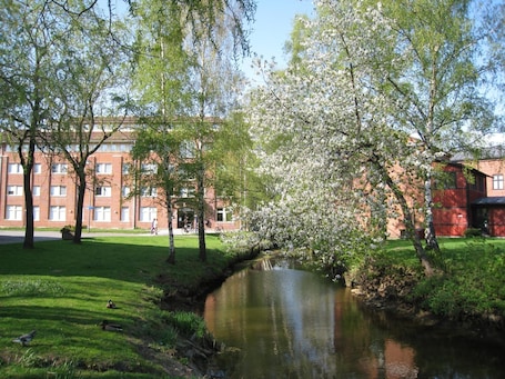 Property grounds. Hostel Snoozemore