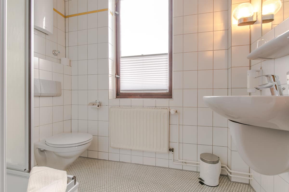 triple room | bathroom | shower, hair dryer, towels