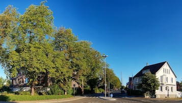 A quiet street with a large tree, a white building with a black roof, and a blue sign.