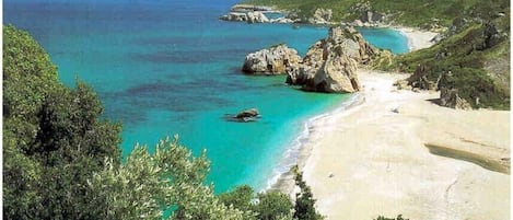 Plage à proximité, chaises longues, serviettes de plage