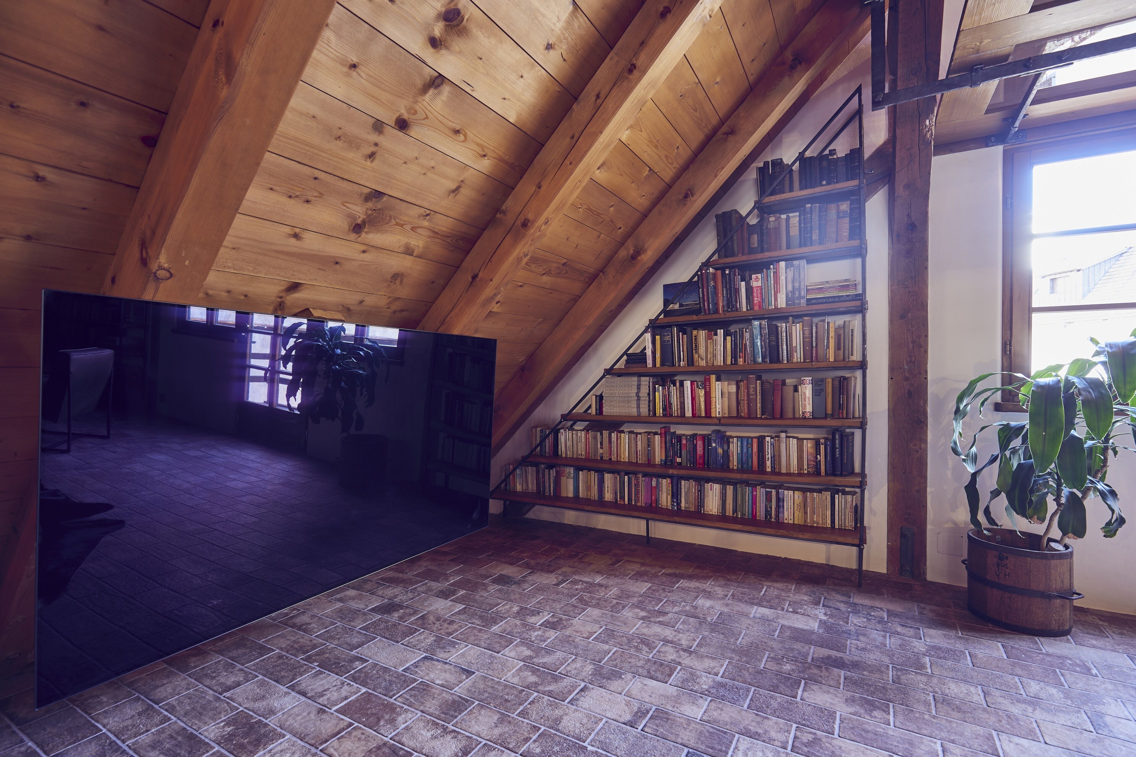 apartment 4 with castle view | television