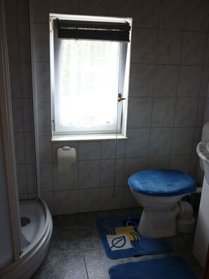 シャワー、ヘアドライヤー