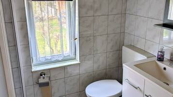 Dusche, Haartrockner, Toilettenpapier
