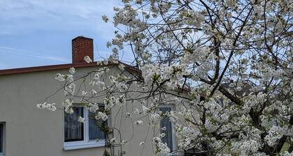 Ferienhaus Weinhold, Deutschland