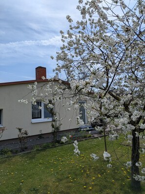 A building with a brick chimney, windows, and a tree with white blossoms in front. - Vacation cottage Weinhold, Germany (Barth)