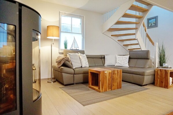 Smart TV, chimenea, reproductor de DVD y libros 