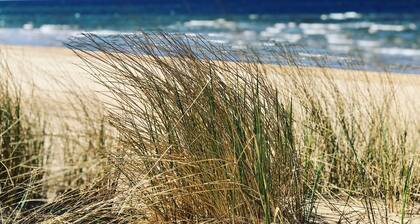 Dream house by lakes in Småland - sauna, fireplace, wifi, garden, solar/e-charging station