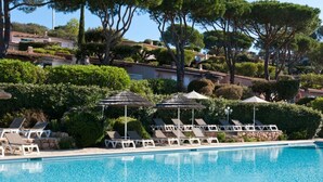 Una piscina con lettini e ombrelloni, immersa nel verde e alberi.