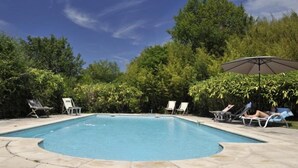 Ein rechteckiger Pool mit gewölbter Kante, umgeben von Liegestühlen und einem Sonnenschirm.