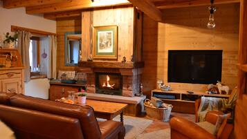 TV, fireplace, books