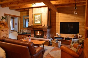 Televisión, chimenea y libros 