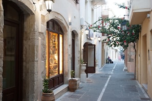 A narrow street with stone buildings, a shop with glass display, and potted plants.