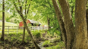 A rustic barn surrounded by trees and a white fence. - Mountain Majesty ~ Country elegance at its best! (Huntsville)