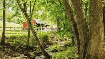 Terrein van de accommodatie