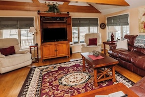 Smart TV, fireplace, DVD player, books