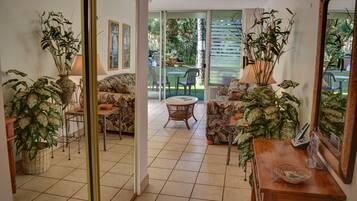 Televisio, DVD-soitin