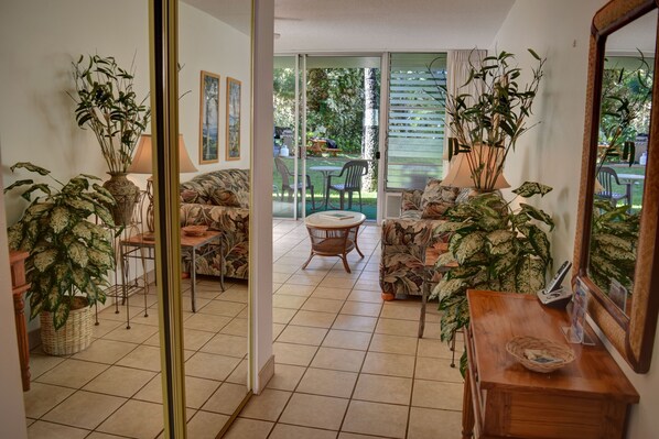 电视、DVD 播放器