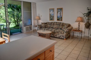 电视、DVD 播放器