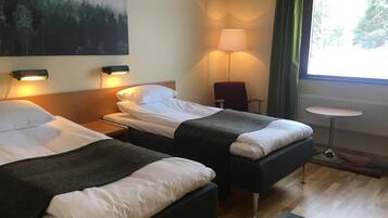 Economy-dobbeltværelse | Skrivebord, mørklægningsgardiner, strygejern/strygebræt, gratis Wi-Fi