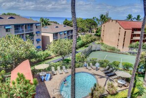 Pool - Beautiful, Updated Condo Across the Street from Famous Charley Young Beach (Kihei)