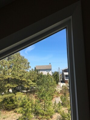 A window view of a house surrounded by pine trees.