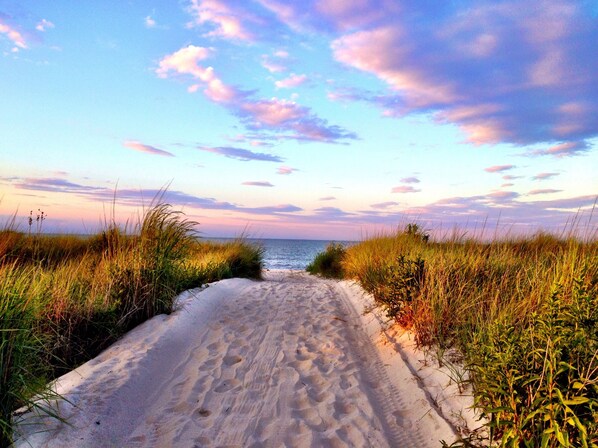 A sandy path leading to the ocean with grass on either side.