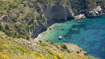Pantai di sekitar, kursi berjemur, dan payung pantai