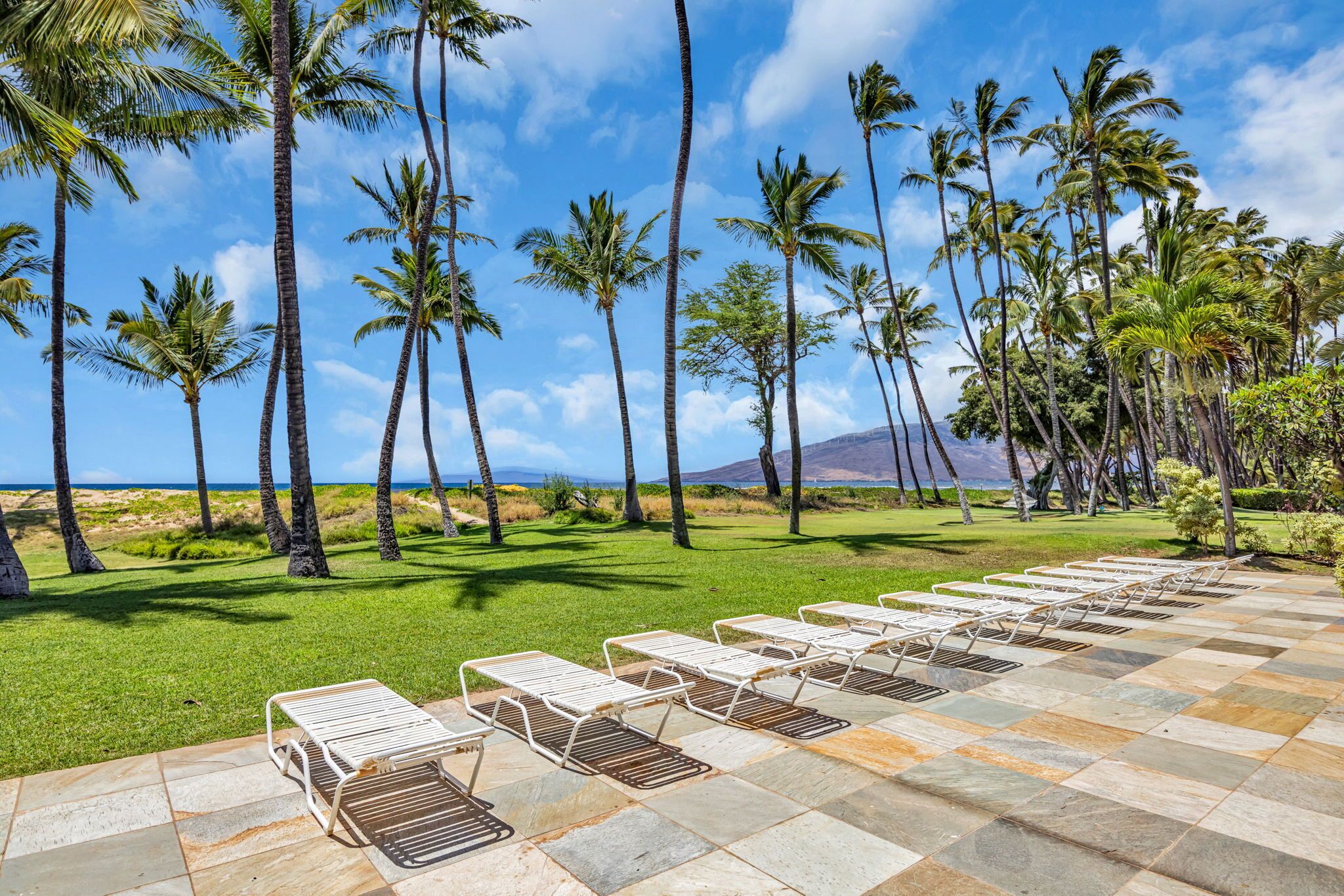 A tropical resort with a row of sun loungers on a stone patio, palm trees, and a view of the ocean.