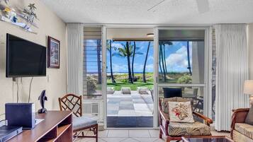 平面電視、DVD 播放機