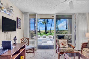 Flat-screen TV, DVD player