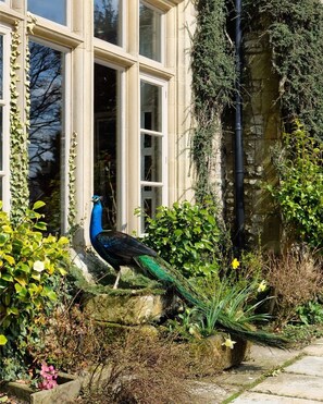 施設からの眺望