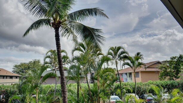 Zona residencial con varias casas, palmeras y automóviles estacionados.