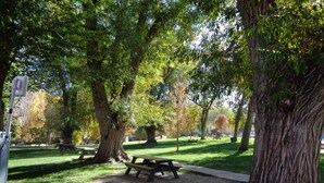 Een park met picknicktafels, grote bomen en een wandelpad.
