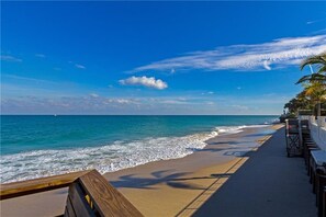 Una playa con un paseo de madera y palmeras, que conduce a una vista del mar.