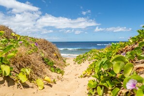 Un sentiero sabbioso che conduce all'oceano, fiancheggiato da vegetazione verde.