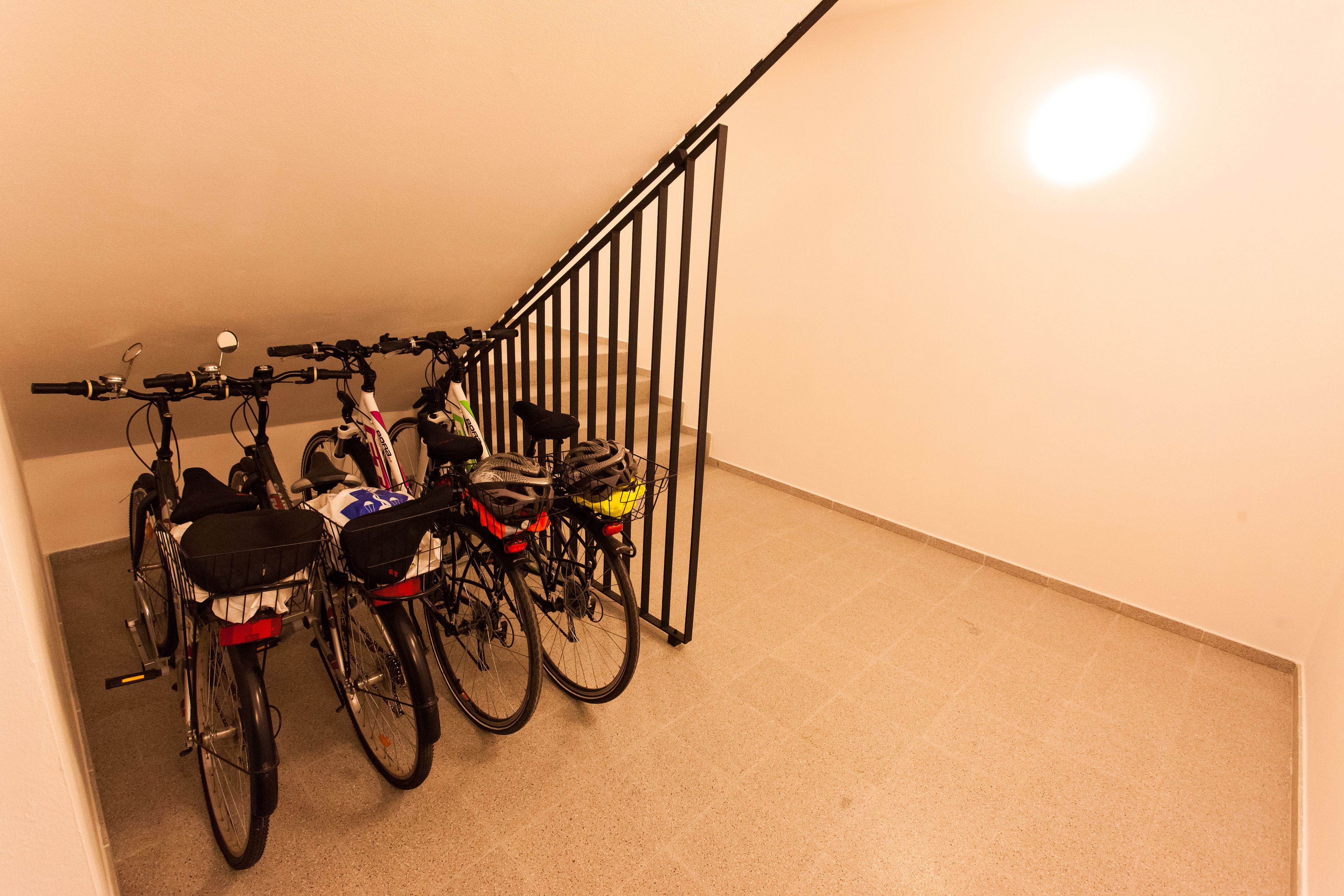 Foto - Centrum Salvator